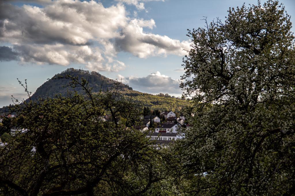 Hewen Apartments Engen Zewnętrze zdjęcie